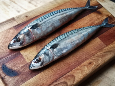 Apa Saja Manfaat Ikan Kembung? Ini yang Perlu Anda Tahu